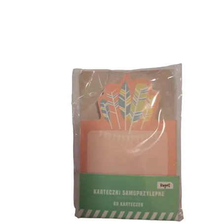 KARTECZKI SAMOPRZYLEPNE 60 KARTECZEK