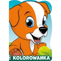 Opracowanie zbiorowe