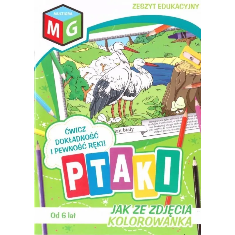 PTAKI. JAK ZE ZDJĘCIA. KOLOROWANKA 6+