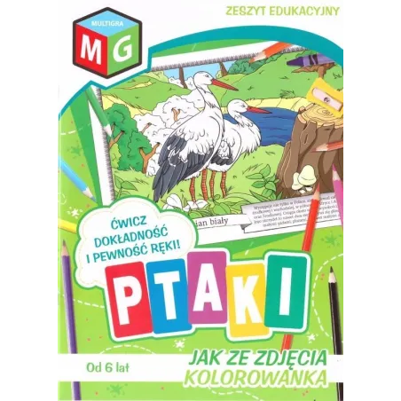 PTAKI. JAK ZE ZDJĘCIA. KOLOROWANKA 6+