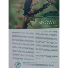 MRÓWKI SANITARIUSZE LASÓW KARTA PRACY - Tempus