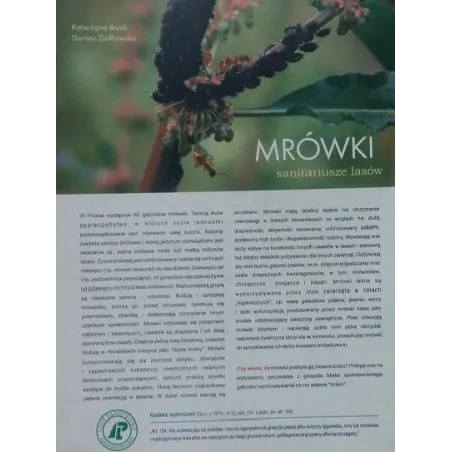 MRÓWKI SANITARIUSZE LASÓW KARTA PRACY - Tempus