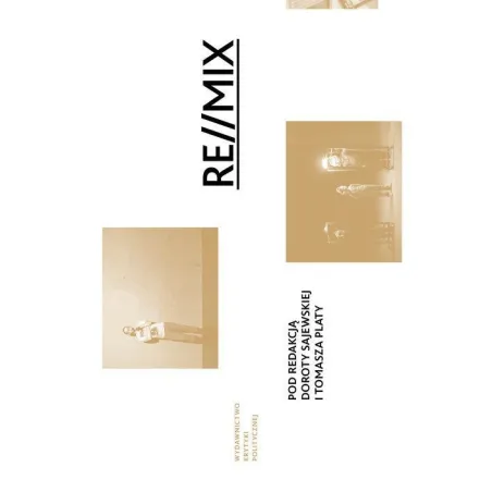 RE MIX PERFORMANS I DOKUMENTACJA