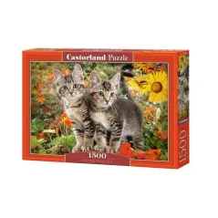 KOCI PRZYJACIELE PUZZLE 1500 ELEMENTÓW CASTORLAND 12+