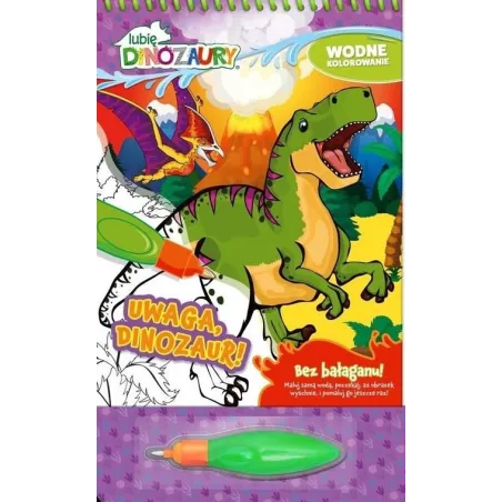 LUBIĘ DINOZAURY. UWAGA, DINOZAUR! WODNE KOLOROWANIE