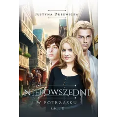 W POTRZASKU. NIEPOWSZEDNI 2
