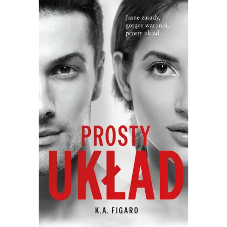 Prosty Układ Prosty Układ