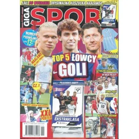 GIGA SPORT TOP 5 ŁOWCY GOLI LISTOPAD-GRUDZIEŃ 2023 + KARTY