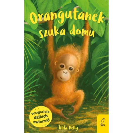 Orangutanek Szuka Domu. Przyjaciele Dzikich Zwierząt Orangutanek Szuka Domu. Przyjaciele Dzikich Zwierząt