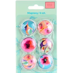 MAGNESY SZKLANE NA LODÓWKĘ 6 SZT.