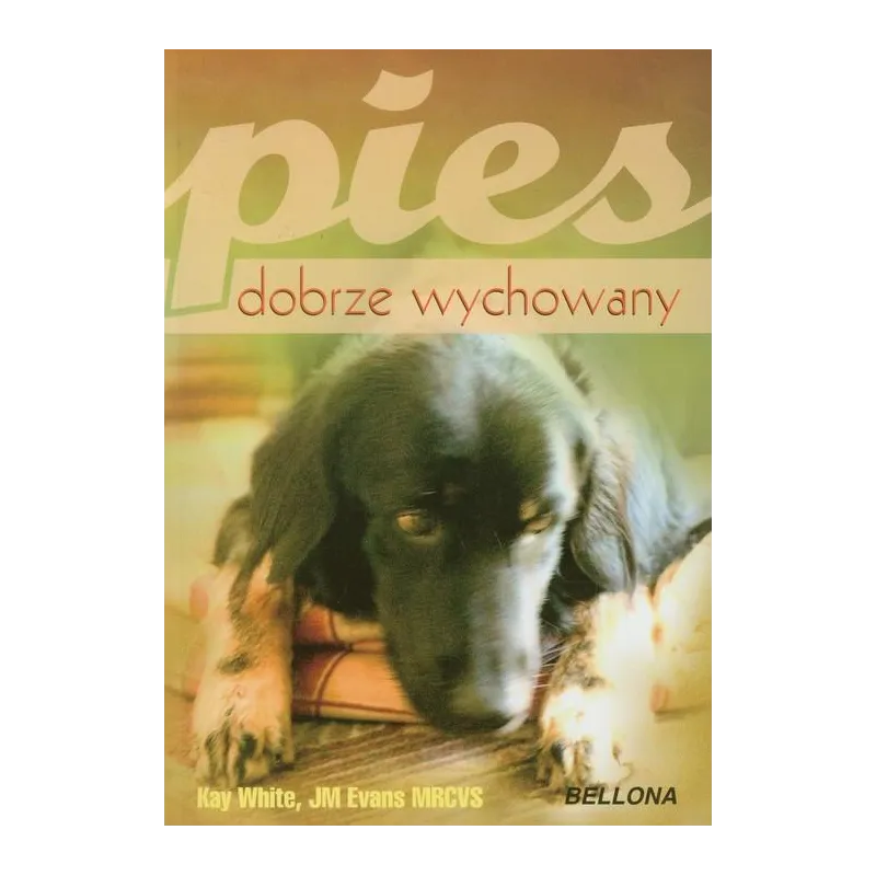 PIES DOBRZE WYCHOWANY