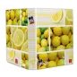 Segregator Na Dokumenty A4 Pigna Fruits Segregator Na Dokumenty A4 Pigna Fruits