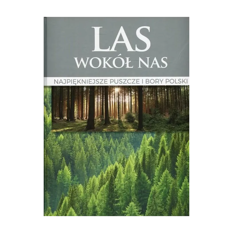LAS WOKÓŁ NAS. NAJPIĘKNIEJSZE POMNIKI PRZYRODY - Dragon