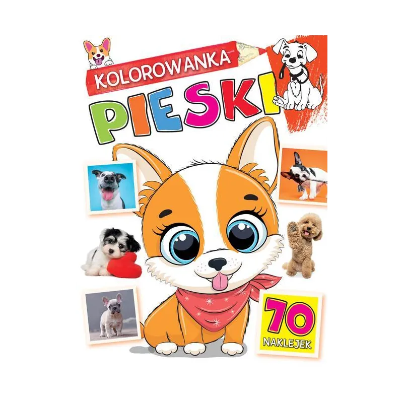 PIESKI. KOLOROWANKA Z NAKLEJKAMI