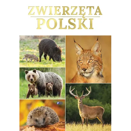 Opracowanie Zbiorowe