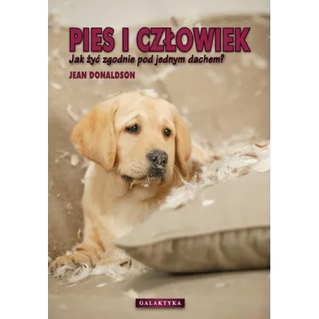 Pies I Człowiek. Jak Żyć Zgodnie Pod Jednym Dachem