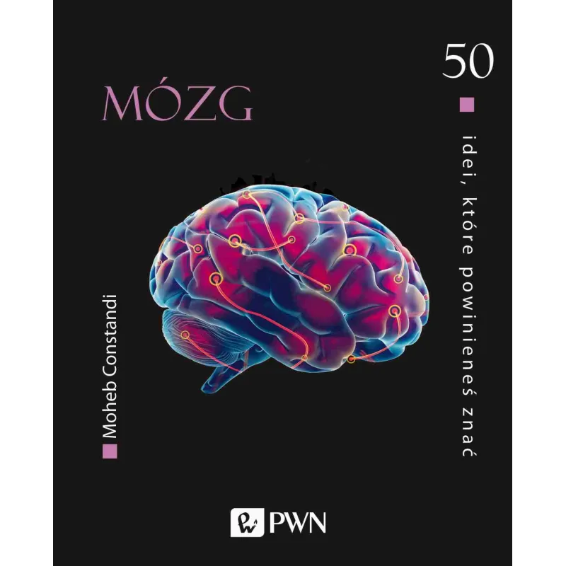 Mózg. 50 idei które powinieneś znać Moheb Constandi