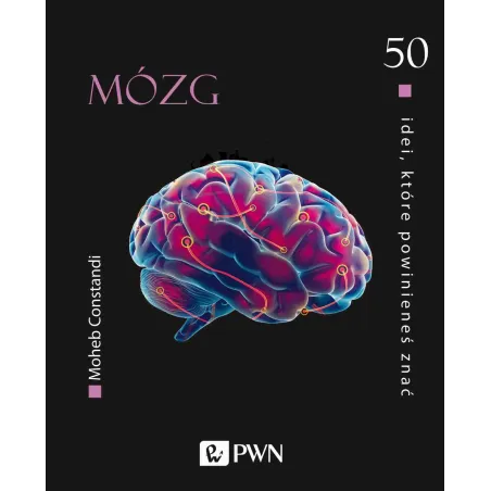 Mózg. 50 idei które powinieneś znać Moheb Constandi