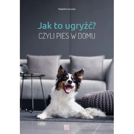JAK TO UGRYŹĆ? CZYLI PIES W DOMU