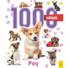 PSY. 1000 NAKLEJEK