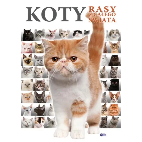 Koty. Rasy Z Całego Świata Koty. Rasy Z Całego Świata