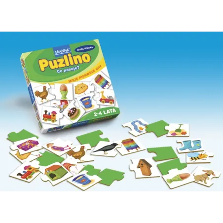 CO PASUJE? PUZLINO GRA LOGICZNA 2+