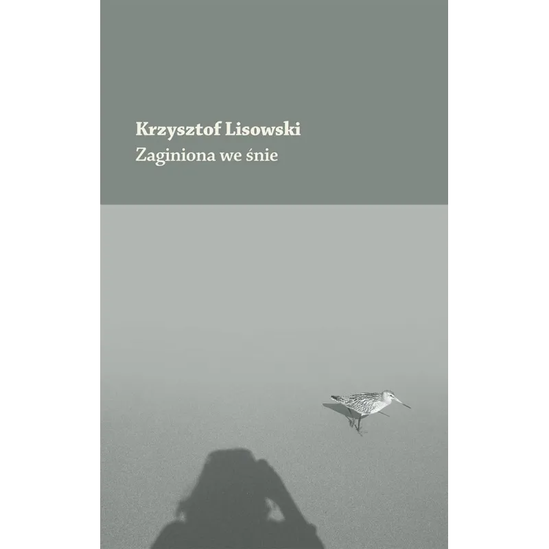 Krzysztof Lisowski