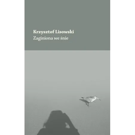 Krzysztof Lisowski