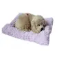 Interaktywny Piesek Spaniel Śpiący Na Poduszce 3+ Interaktywny Piesek Spaniel Śpiący Na Poduszce 3+
