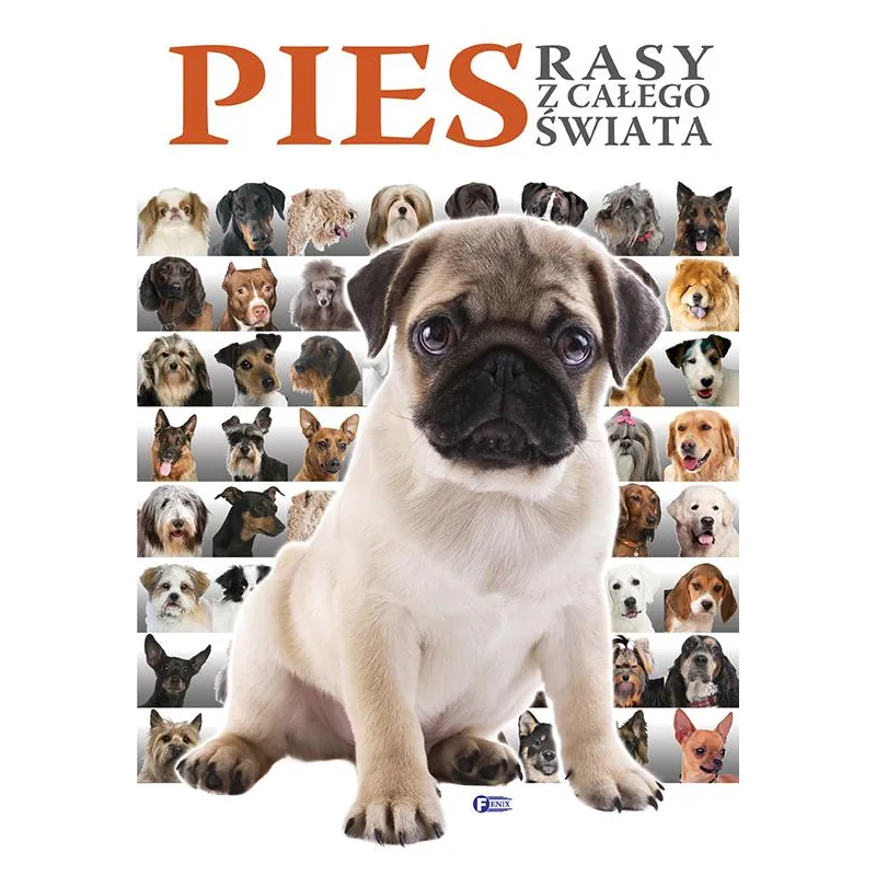 PIES. RASY Z CAŁEGO ŚWIATA
