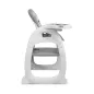 Wielofunkcyjne Krzesełko Do Karmienia 2W1 Caretero Homee Grey – Zestaw Ze Stolikiem 6M+ Wielofunkcyjne Krzesełko Do Karmienia 2W1 Caretero Homee Grey – Zestaw Ze Stolikiem 6M+