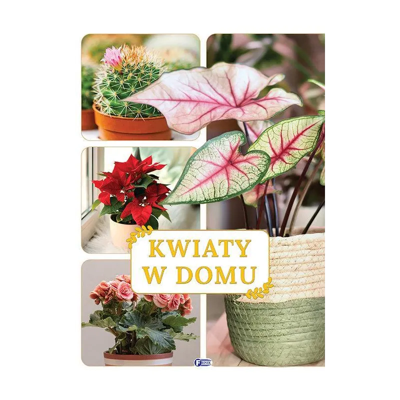 KWIATY W DOMU