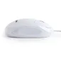 Mysz Optyczna Maxxter Act-Mus-U-02 Usb 1000 Dpi – Precyzyjna I Uniwersalna
