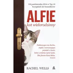 ALFIE KOT WIELORODZINNY
