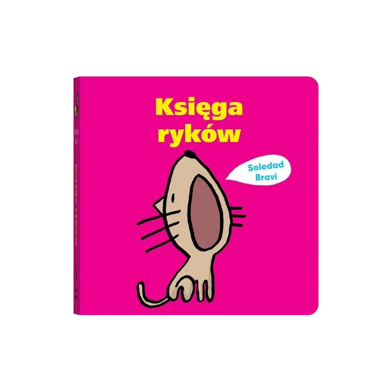 KSIĘGA RYKÓW