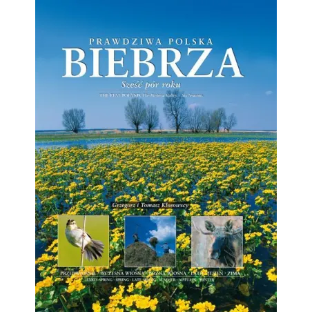 PRAWDZIWA POLSKA BIEBRZA. SZEŚĆ PÓR ROKU