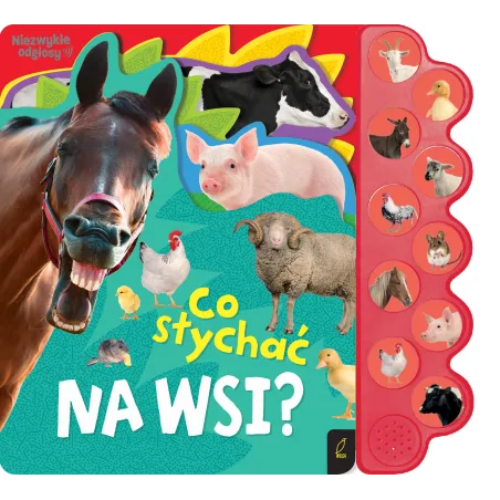 Co słychać na wsi Co słychać... Opracowanie zbiorowe