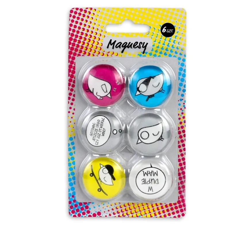 MAGNESY NA LODÓWKĘ PTASZEK STASZEK 6SZT.