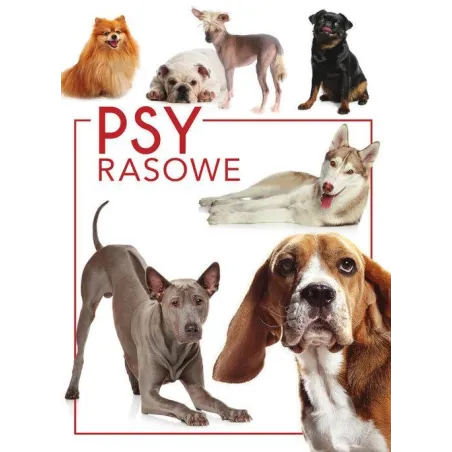 Psy Rasowe Psy Rasowe
