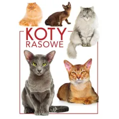KOTY RASOWE