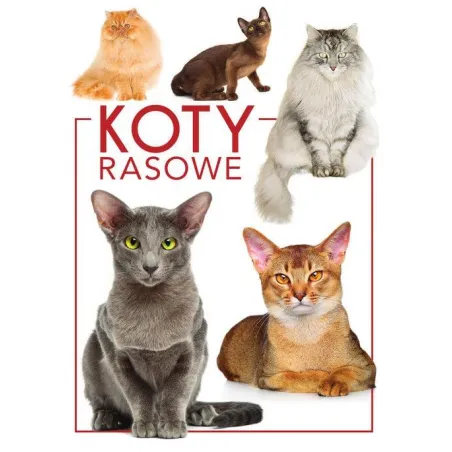 KOTY RASOWE