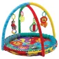 Mata Edukacyjna Basen Z Piłeczkami Playgro 70×70 Cm 0M+