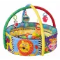 Mata Edukacyjna Basen Z Piłeczkami Playgro 70×70 Cm 0M+