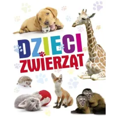 DZIECI ZWIERZĄT