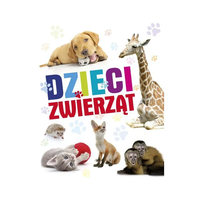 DZIECI ZWIERZĄT