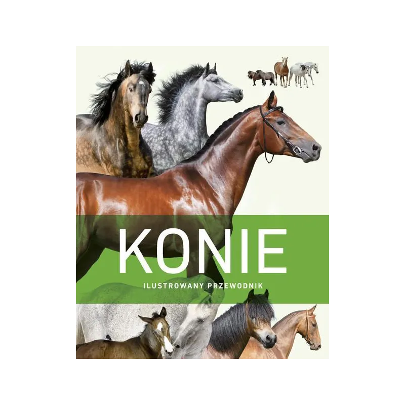 KONIE. ILUSTROWANY PRZEWODNIK