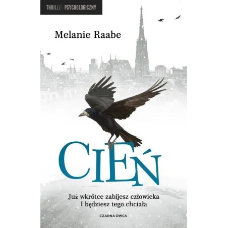 Cień Cień