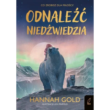 ODNALEŹĆ NIEDŹWIEDZIA