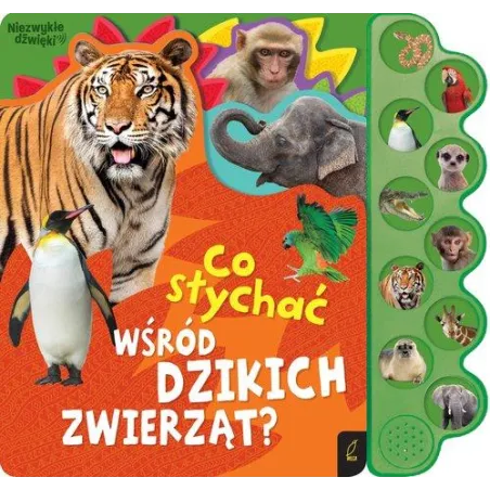 CO SŁYCHAĆ WŚRÓD DZIKICH ZWIERZĄT? KSIĄŻKA DŹWIĘKOWA