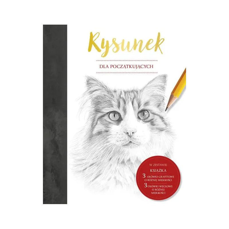 RYSUNEK DLA POCZĄTKUJĄCYCH